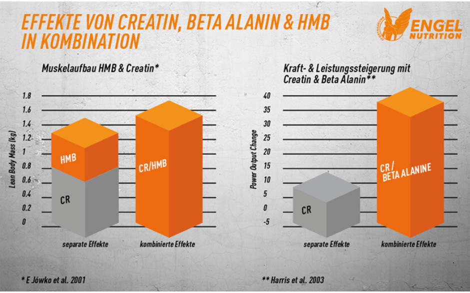 wirkung-creatin-kombinationen