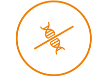 Icon ohne Gentechnik Mobil