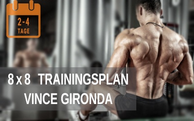 8x8 Trainingsplan zum Muskelaufbau für alle Softgainer Körpertypen